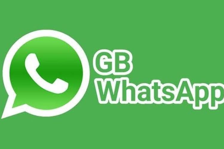 GB WhatsApp Revdl 12.50 Android
