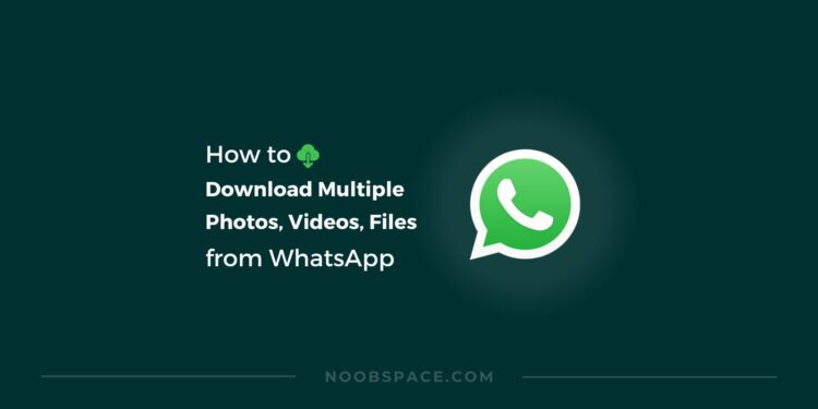 WhatsApp GB Revdl